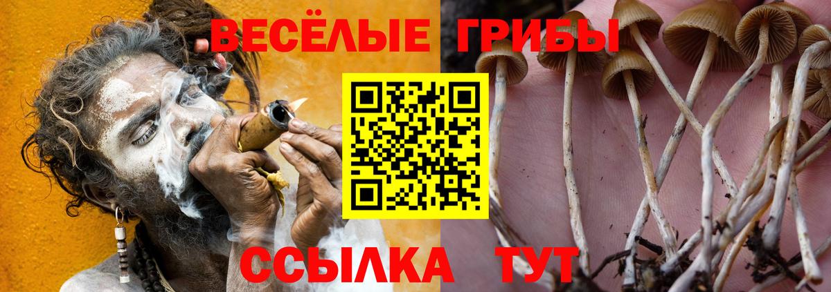 Галлюциногенные грибы мицелий Звенигород