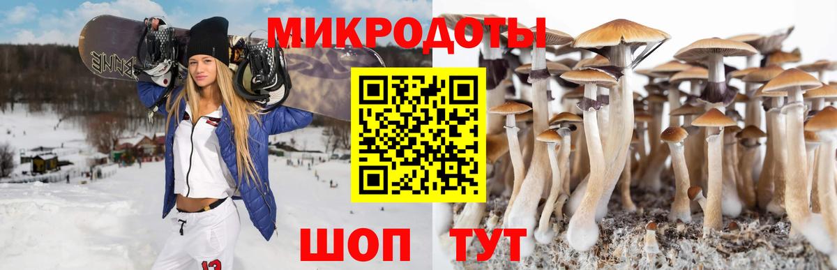 Звенигород  Галлюциногенные грибы Psilocybine cubensis  Вход с VPN 